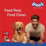 The Ultimate Dog Food: Why Drools Adult Wet Dog Food is a Must-Have for Your Pet