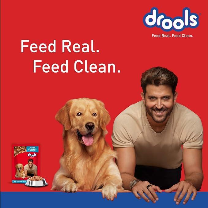 The Ultimate Dog Food: Why Drools Adult Wet Dog Food is a Must-Have for Your Pet